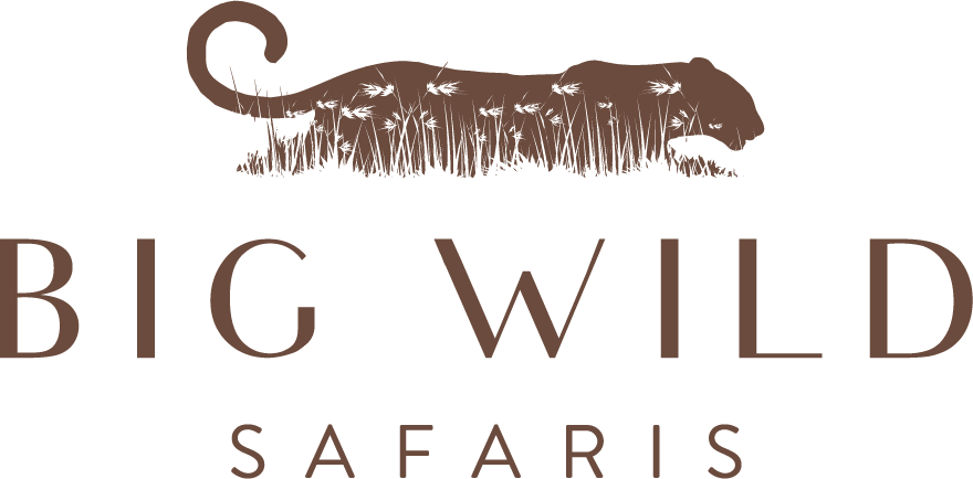 Big Wild Safaris | Privately guided safaris & experiences in Africa